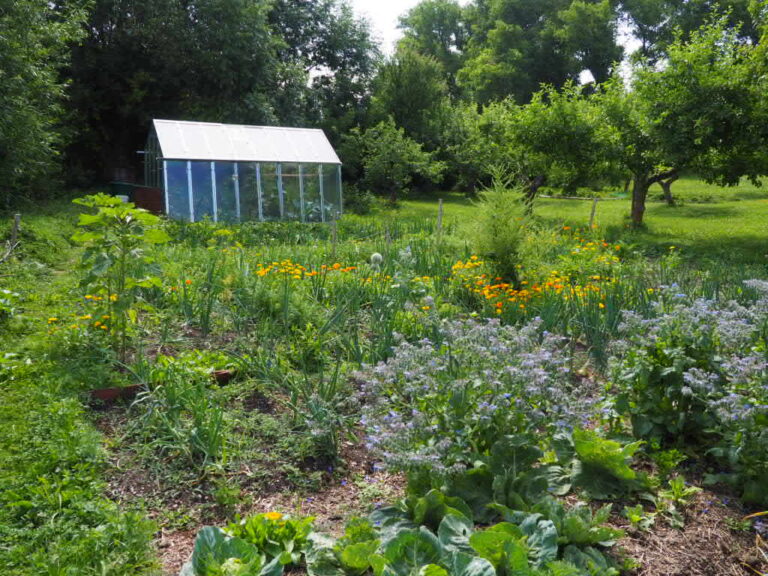 Zdravá půda není o dokonalosti, ale o rovnováze