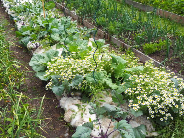 Půda není problém, který je třeba opravit